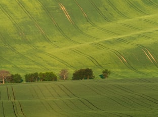 Галузі